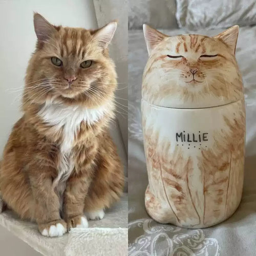 Orange cat portrait and custom ceramic memorial urn