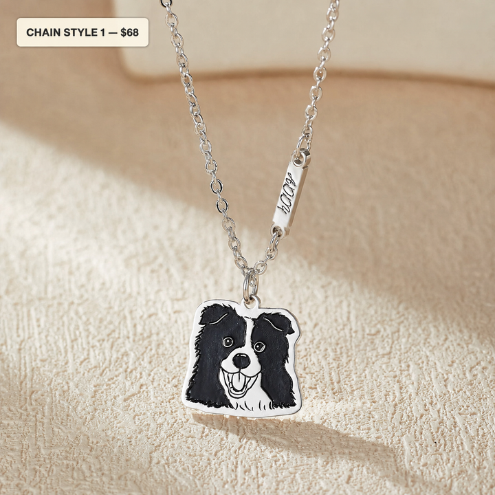 Custom 925 Sterling Silver Pet Portrait Necklace | 7 Chain Styles
